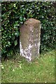 Old Milestone by Hardgates Road, south of Haile