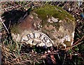 Old Milestone by the A7 in Harker