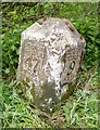 Old Milestone by the former A689, west of Brampton