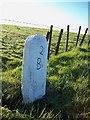 Old Milestone on Racecourse Downs