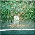 Old Milestone by the A39, Trehannick Farm