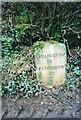 Old Milestone by the B3254, north east of Trenhorne