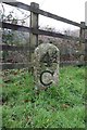 Old Milestone by the former A388, Paynter