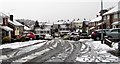 ST3090 : Snowy Laurel Crescent, Malpas, Newport by Jaggery