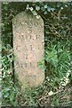 Old Milestone by the A388, north of Little Comfort