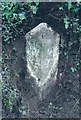 Old Milestone by the A388, south of Penpill Farm