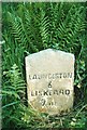 Old Milestone by the B3254, north of Trewithey