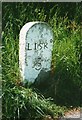 Old Milestone by the B3254, south of Duloe