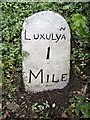 Old Milestone south west of Rosemelling at Windwhistle Farm