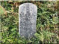 Old Milestone by the B3247, north of Mount Edgcumbe Farm