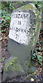 Old Milestone by the A394, north east of Antron