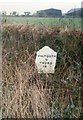 Old Milestone by the A394 in Rame