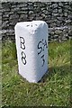 Old Milestone by the A391, south of Stenalees