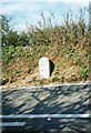 Old Milestone by the A39, opposite Calerick