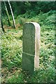 Old Milestone on the Trelowarren Estate