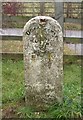 Old Milestone by the A35, east of Tolpuddle