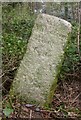 Old Milestone by Huntick Road, east of Lytchett Matravers