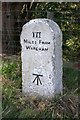 Old Milestone by the A351, Norden Heath