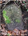 SX7471 : Old Milestone (Parole stone), north west of Rewdown Cross by Tim Jenkinson