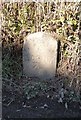 Old Milestone by Old Bideford Road, south of Horsacott