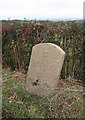 Old Milestone near Hayne, Bishop