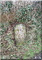 Old Milestone west of Chittlehampton