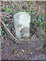 Old Milestone east of Bratton Cross