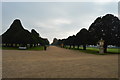 TQ1568 : Hampton Court Gardens by N Chadwick