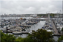 SX4953 : Plymouth Yacht Haven by N Chadwick
