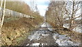 Track beside Manchester Ship Canal near Stonedelph Dock