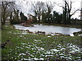 Small pond south of Shrayhill Farm