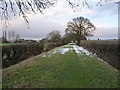 Track south of Shrayhill Farm