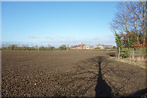SP8210 : Farmland at Stoke Mandeville by Des Blenkinsopp