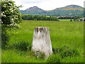 Trig point of The Holmes