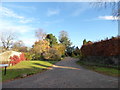 Looking from Hawks Lane into Mannings Close