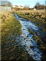 Icy path, Nitshill