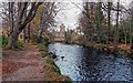 River Lossie - Morriston Playing Fields