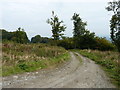 Bridleway and track on Brown Clee