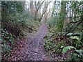 Llwybr i Bont Andrew / A path towards Pont Andrew