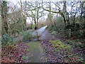 Llwybr Pont Andrew / Pont Andrew Path