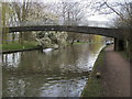 Grand Union Canal Walk