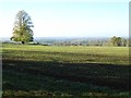 Farmland east of Kings Sutton