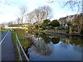 River Avon, Salisbury