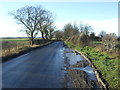 An icy Street Lane