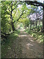 Track between Spout House and Gollinglith Foot