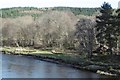 River Dee, Banchory