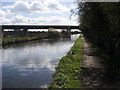 Grand Union Canal Walk