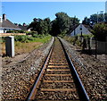 Avocet Line from Topsham towards Exton