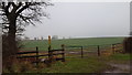 Footpath through the field