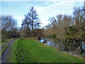 River Avon looking upstream